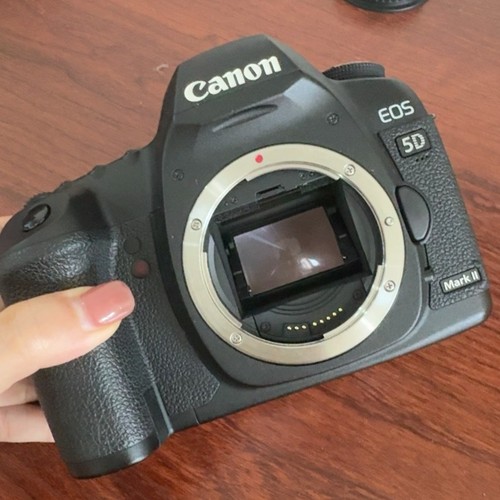 Canon eos mark 1 mp - 21,1,