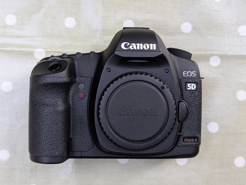 Canon eos mark 21 1mp - eos,