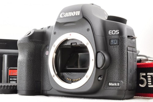 Canon eos mark 1 mp - 21,1,